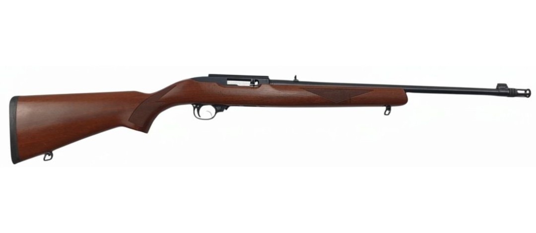 RUGER OCCASION - CARABINE SEMI-AUTO RUGER 10/22 BOIS FILETÉE CAL.22LR + FREIN DE BOUCHE