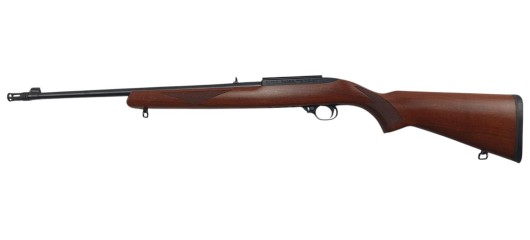 RUGER OCCASION - CARABINE SEMI-AUTO RUGER 10/22 BOIS FILETÉE CAL.22LR + FREIN DE BOUCHE