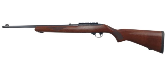 RUGER OCCASION - CARABINE SEMI-AUTO RUGER 10/22 BOIS FILETÉE CAL.22LR + RAIL RUGER