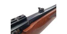 RUGER OCCASION - CARABINE SEMI-AUTO RUGER 10/22 BOIS FILETÉE CAL.22LR + RAIL RUGER