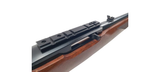 RUGER OCCASION - CARABINE SEMI-AUTO RUGER 10/22 BOIS FILETÉE CAL.22LR + RAIL RUGER