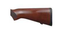 RUGER OCCASION - CARABINE SEMI-AUTO RUGER 10/22 BOIS FILETÉE CAL.22LR + RAIL RUGER