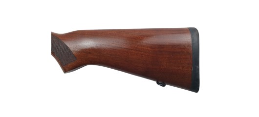 RUGER OCCASION - CARABINE SEMI-AUTO RUGER 10/22 BOIS FILETÉE CAL.22LR + RAIL RUGER