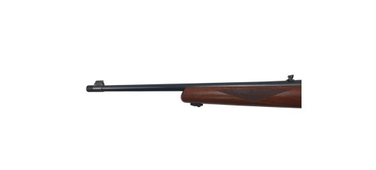 RUGER OCCASION - CARABINE SEMI-AUTO RUGER 10/22 BOIS FILETÉE CAL.22LR + RAIL RUGER