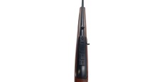 RUGER OCCASION - CARABINE SEMI-AUTO RUGER 10/22 BOIS FILETÉE CAL.22LR + RAIL RUGER
