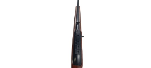 RUGER OCCASION - CARABINE SEMI-AUTO RUGER 10/22 BOIS FILETÉE CAL.22LR + RAIL RUGER