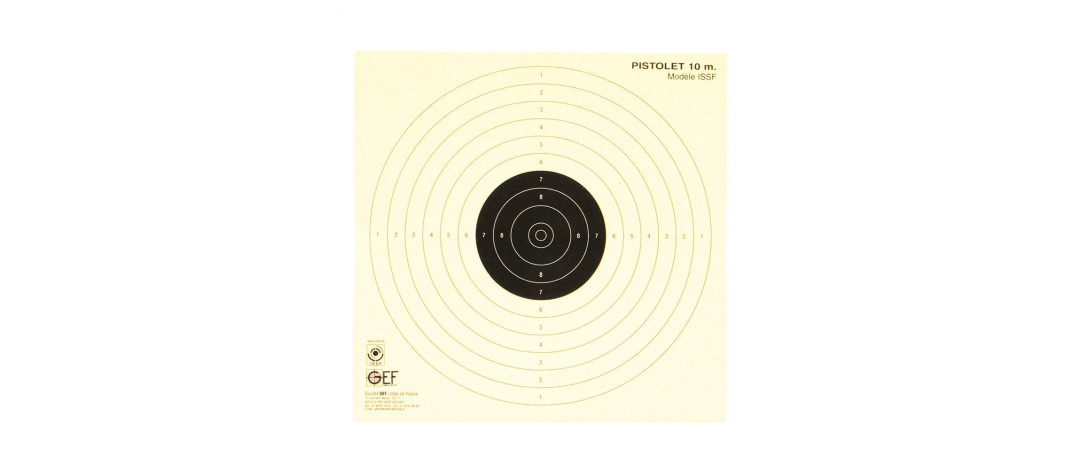 PAQUET DE 100 CIBLES PISTOLET TIR AU PLOMB 10M - 17x17cm