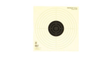 PAQUET DE 100 CIBLES PISTOLET TIR AU PLOMB 10M - 17x17cm