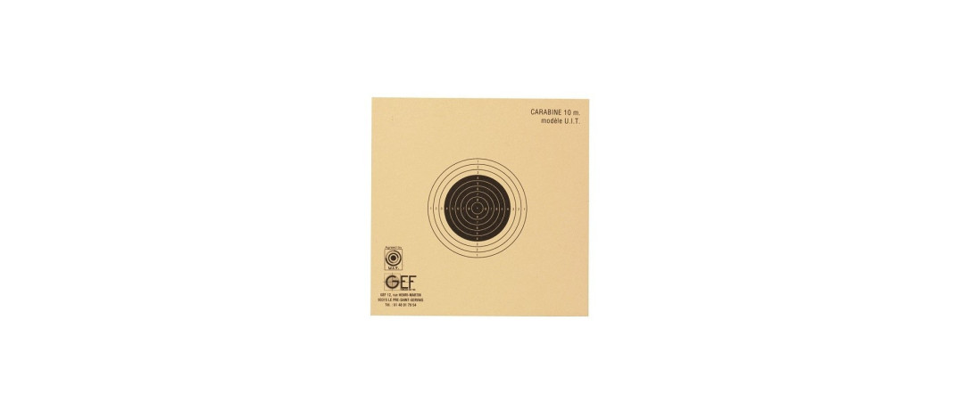 PAQUET DE 100 CIBLES CARABINE TIR AU PLOMB 10M - 10x10cm