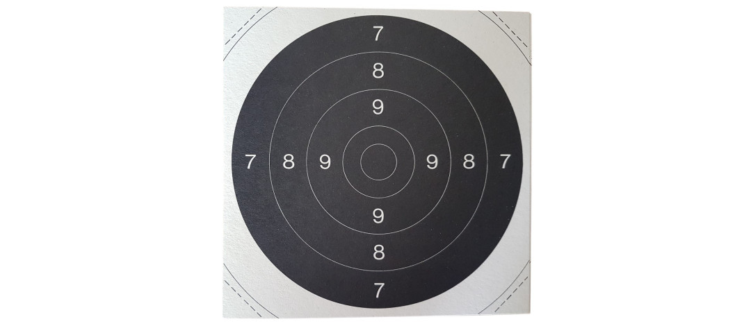 PAQUET DE 50 CENTRES DE CIBLES C50 21x21cm